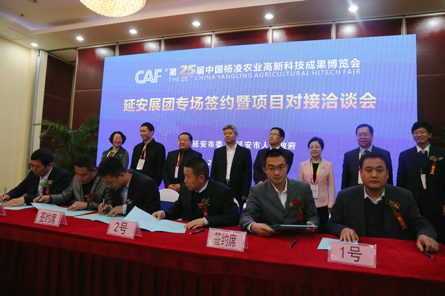签约仪式.JPG
